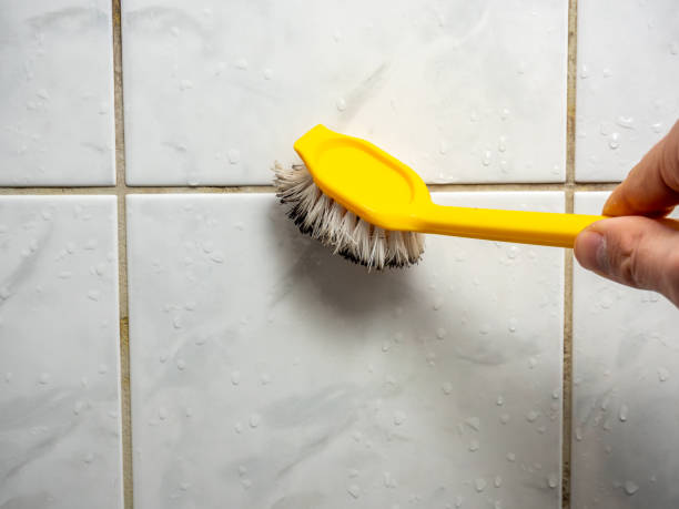 Best Commercial Mold Removal  in Ridgewood, IL
