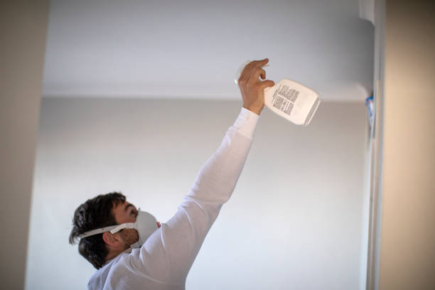 Best Mold Testing  in Ridgewood, IL